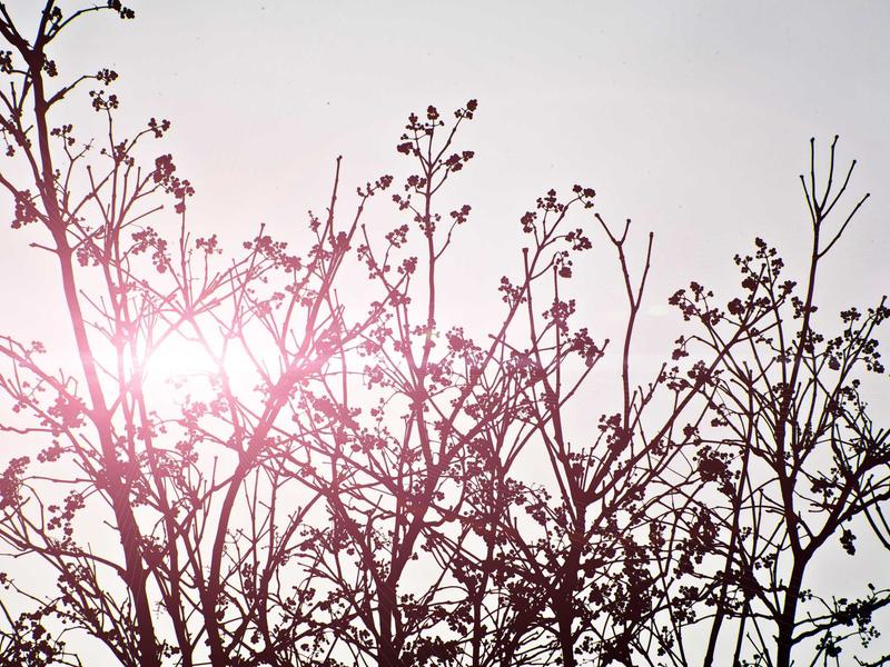 sudoku pencil marks screenshot 1