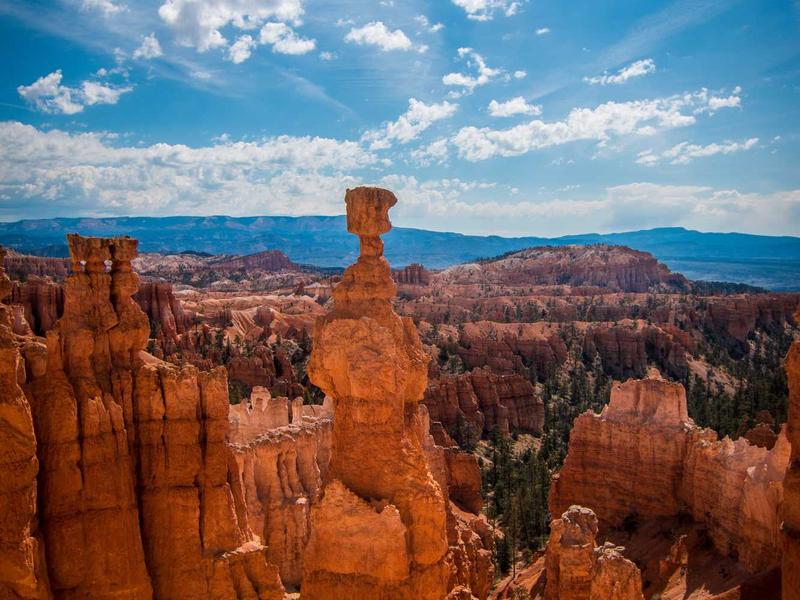 contact screenshot 4