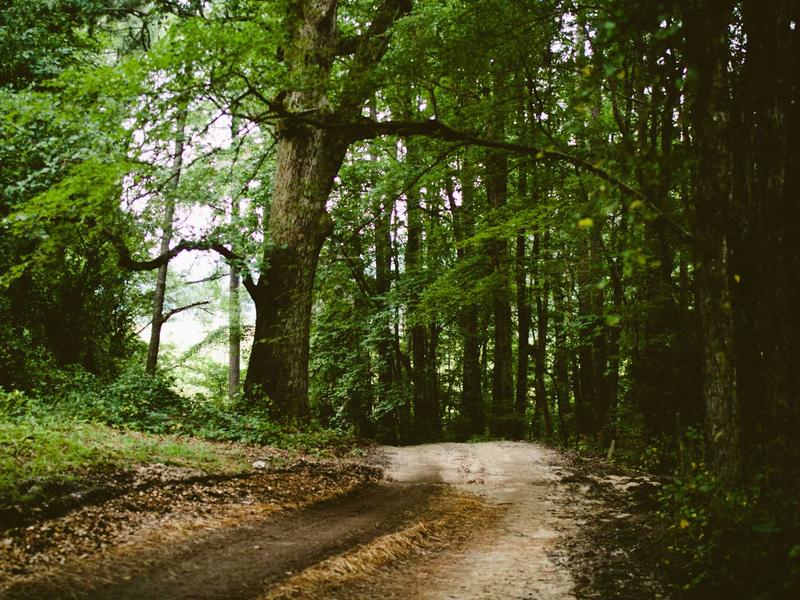 sudoku timer mode screenshot 1