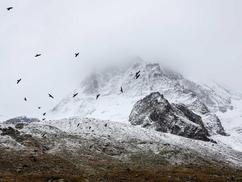 sudoku unique rectangle screenshot 1